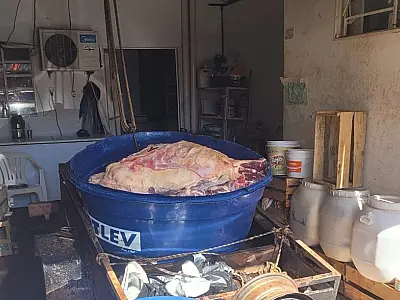 Quase 2 toneladas de carne contaminada são apreendidas em Selvíria; dois homens foram presos