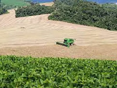 Orçamento do seguro rural sofre corte de R$ 52,9 milhões
