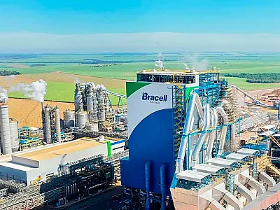 Nova fábrica de celulose será construída em MS com investimento de R$ 20 bilhões