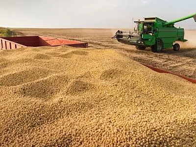 Exportações de Mato Grosso do Sul alcançam US$ 3,1 bilhões no 1º quadrimestre de 2024