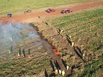 MS se destaca na prevenção de incêndios florestais