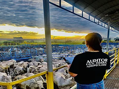 Movimento dos auditores agropecuários gera preocupação no Governo, mas negociações prosseguem
