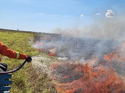 Incêndios no Pantanal avançam e fumaça ameaça 9 municípios de MS