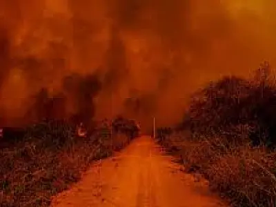 Queimadas no pantanal disparam 88% em setembro e já atingem 57 mil hectares
