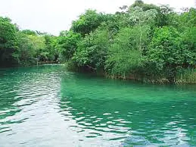 Turistas se perdem em mata fechada ao tentar explorar rio Formoso em Bonito (MS)