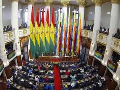 Congresso da Bolívia aprova lei que regulamenta estado de exceção