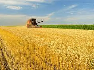 EUA reduzem tarifas de importação e abrem espaço para avanço do agronegócio brasileiro