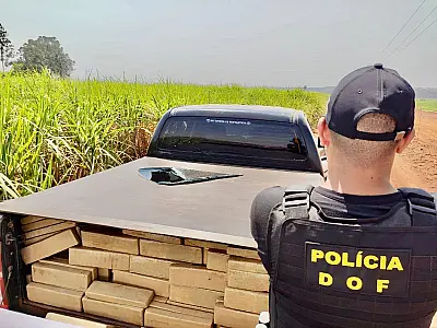 Tráfico de drogas em Mato Grosso do Sul: Estado se mantém como principal porta de entrada no Brasil
