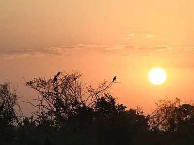 Calor intenso marca o início da semana em Mato Grosso do Sul
