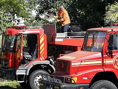 Bombeiros de MS intensificam combate aos incêndios no Pantanal