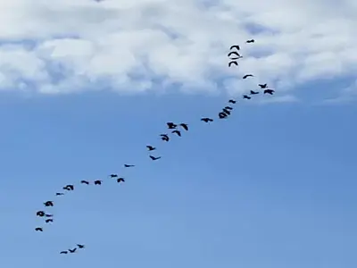 Previsão do tempo: Terça-feira com sol e possibilidade de chuvas em Mato Grosso do Sul