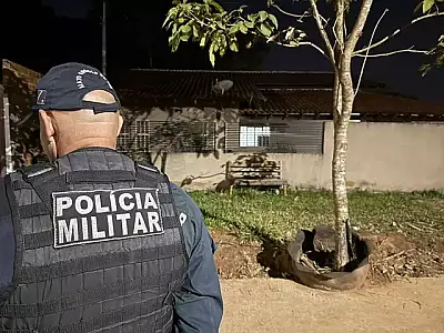 Professora perde a vida após ser atraída por mensagem do ex-companheiro em MS