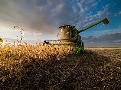 Produtores em recuperação judicial encontram caminhos para acesso a crédito rural
