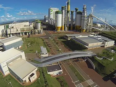 Disputa judicial entre J&F Investimentos e Paper Excellence atrasa investimento bilionário em MS
