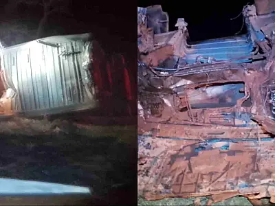 Caminhoneiro sobrevive a acidente na BR-060 após carreta cair em vala, mas bois morrem