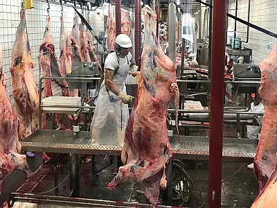 Chile autoriza importação de carne "in natura" de outros 16 frigoríficos brasileiros