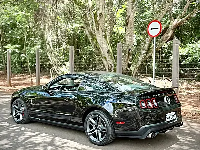 A COBRA!