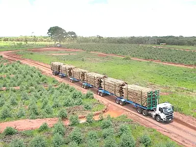 Suzano revoluciona indústria em MS: Hexatrens e túneis criam nova era logística