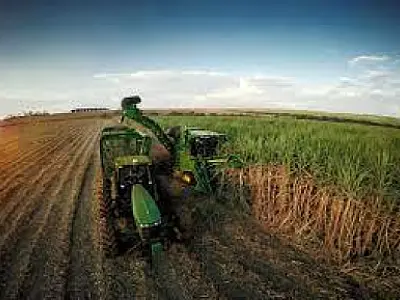 Safra recorde impulsiona setor sucroenergético em Mato Grosso do Sul