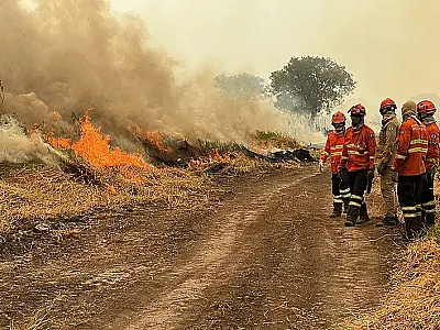 Clima extremo em Mato Grosso do Sul eleva risco de incêndios no Pantanal
