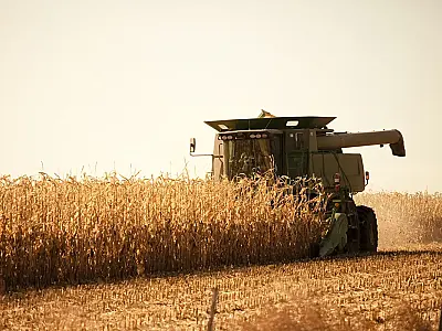 Interrupção no crédito rural: Plano Safra pode comprometer produção de milho em MS