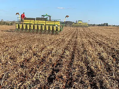 Desafios climáticos: IBGE estima queda de 6% na safra de grãos de Mato Grosso do Sul em 2024