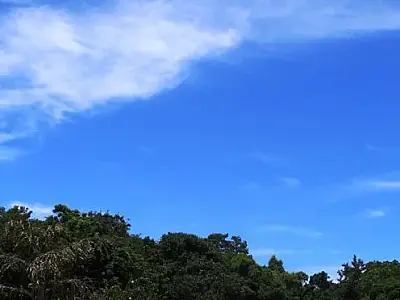 Semana inicia com calor intenso e possibilidade de chuvas em Mato Grosso do Sul