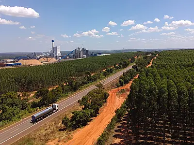 Soja, carne e celulose impulsionam economia e colocam MS entre os principais fornecedores globais