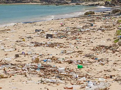 13 praias de São Paulo estão impróprias para banho, aponta monitoramento