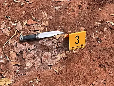 Bebedeira acaba em tragédia: mulher é morta a facadas pelo marido
