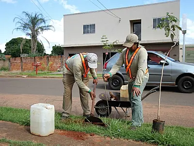 Campo Grande ganha destaque nacional em catálogo de ações climáticas urbanas