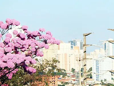 Altas temperaturas e tempo seco nesta terça-feira em MS