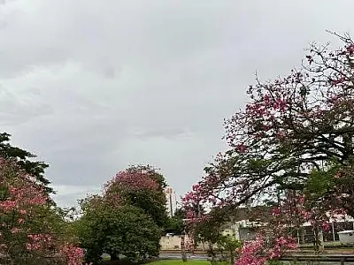 Previsão indica mudanças climáticas com queda de temperaturas em MS neste fim de semana