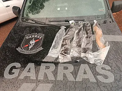 MS: Polícia apreende carga de cabelo humano em operação de fiscalização em Ponta Porã