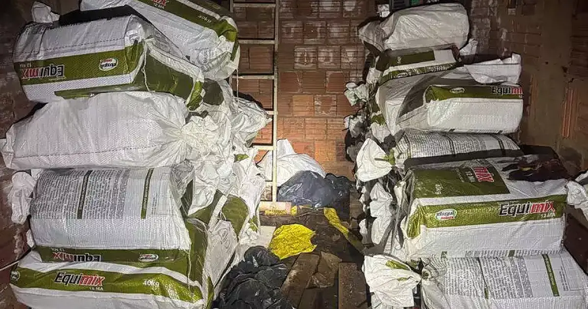 Cão farejador encontra bunker com mais de 1,2 tonelada de maconha escondido em casa de Campo Grande
