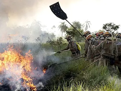 Bombeiros de MS intensificam combate ao fogo no Pantanal durante estiagem prolongada