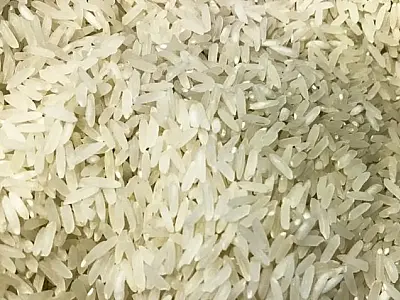Suspeitas no leilão de arroz: Conab investigará empresas vencedoras