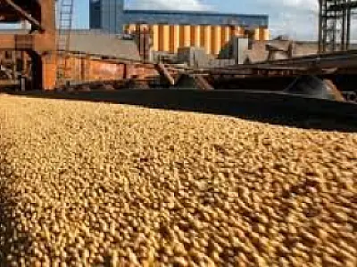 China lidera exportações de MS, mas EUA e Holanda ampliam parceria comercial
