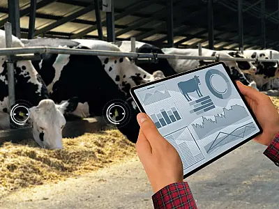 Tecnologia revoluciona a pecuária: Um olhar sobre a gestão sustentável e eficiente