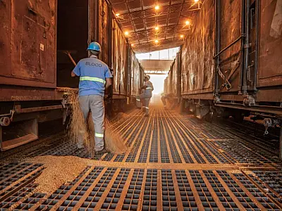 MS se torna o segundo maior usuário do Porto de Paranaguá