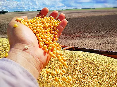Como a safra de soja influenciou a desaceleração do PIB no segundo trimestre de 2023