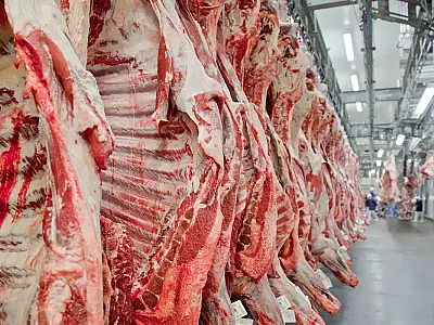Corte de tarifas dos EUA anima pecuaristas brasileiros, avalia Cepea