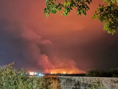 PF deflagra operação contra responsáveis por incêndio no Pantanal