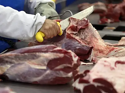 Campo Grande amplia exportações e fecha semestre com superávit de US$ 54 milhões