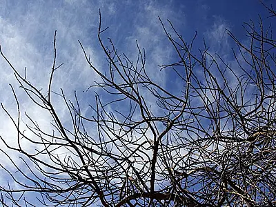 Tempo quente e seco predomina em Mato Grosso do Sul nesta quarta-feira