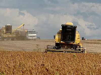 Desvalorização da soja gera prejuízo para produtores de Mato Grosso do Sul