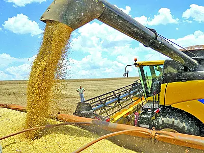 Agronegócio brasileiro: estimativa de safra de grãos 2023/24 revela desafios e perspectivas