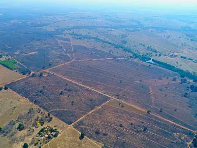 Incêndio causado por caminhão de algodão devasta mais de 2 mil hectares em Coxim