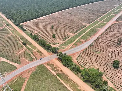 Governo de MS e Suzano firmam acordo para recuperação de rodovias não pavimentadas