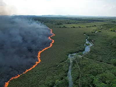 Vídeo: Raio provoca incêndio de grandes proporções às margens do Rio Formoso em Bonito!